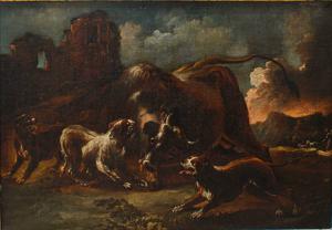 Giovanni Crivelli known as il Crivellino (? - 1760)  Fight between dogs and bison